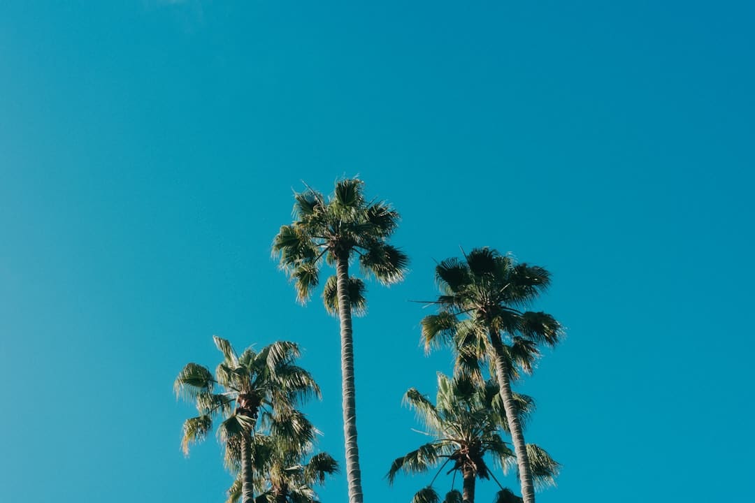 《游览2+N》：与圈内老友一起动身，游览的惊喜正在路上